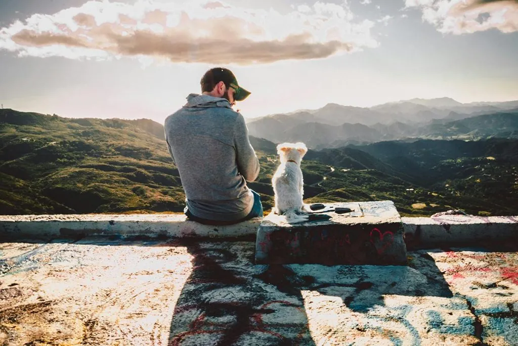 Cachorro com seu dono, ao ar livre e feliz