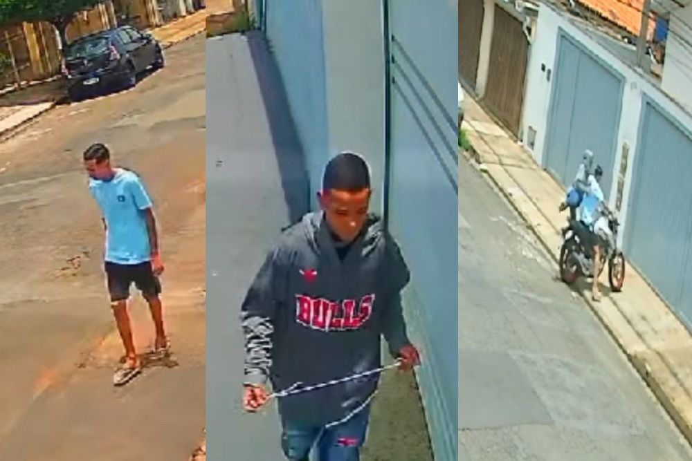 WhatsApp Image 2024-12-11 at 15.50.43