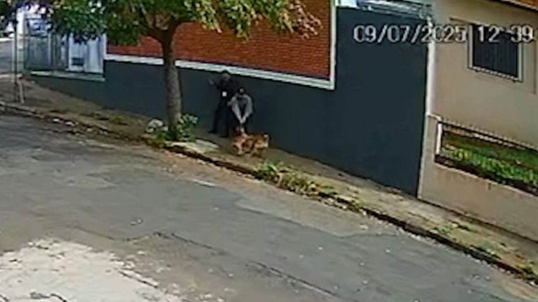 Ataque de Pitbull