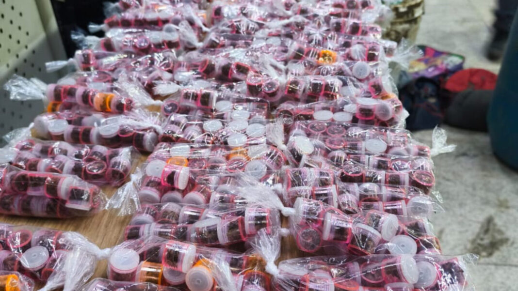 SITE - FOTOS - 2025-10-16T162806.860