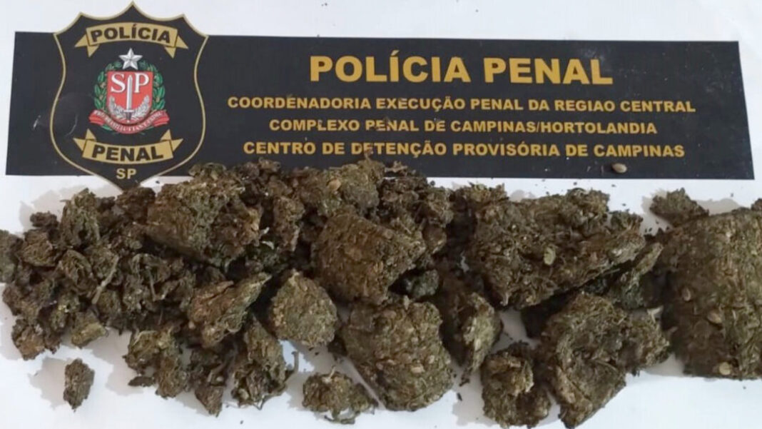 SITE - FOTOS (GP) (35)