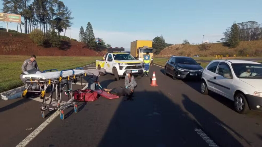 SITE - FOTOS - 2025-11-04T092519.987