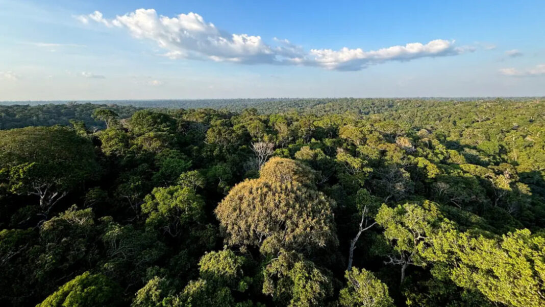 SITE - FOTOS - 2025-11-04T193855.287