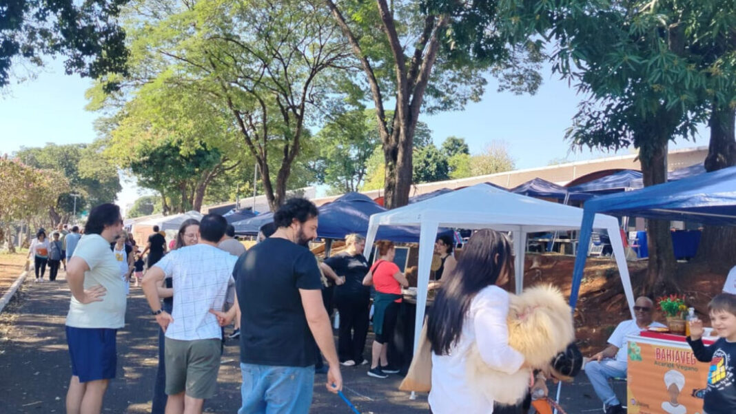 SITE - FOTOS - 2025-11-27T181030.877