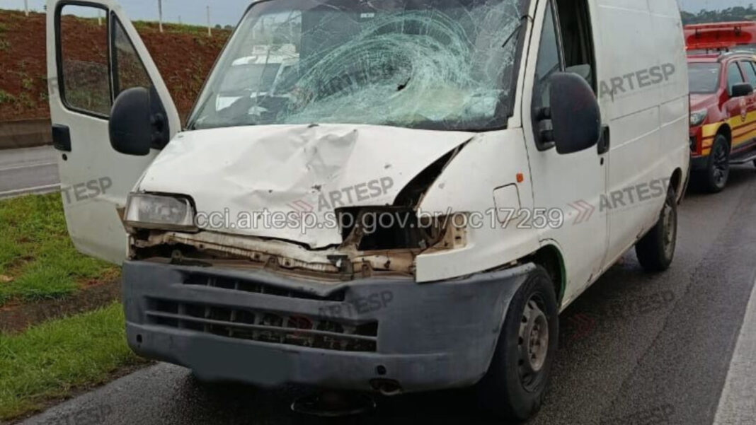 SITE - FOTOS (GP) (77)