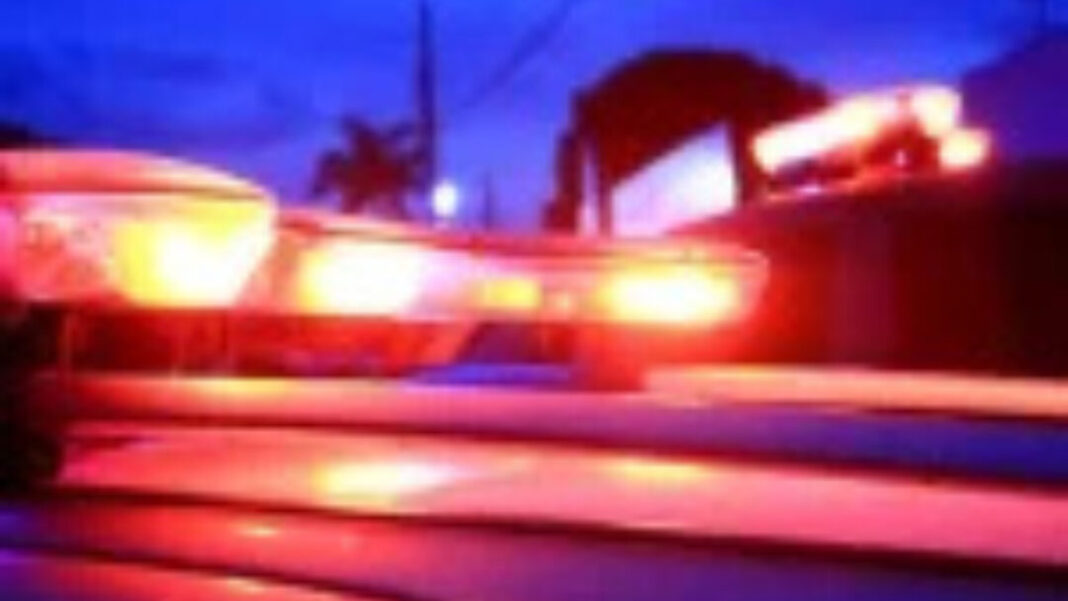 SITE - FOTOS - 2025-12-07T171519.512