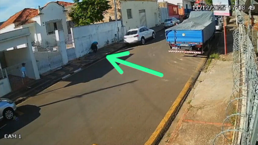 SITE - FOTOS - 2025-12-12T105141.190