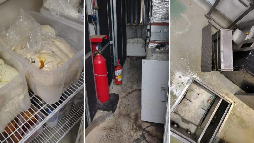 SITE - FOTOS - 2025-12-15T165234.840