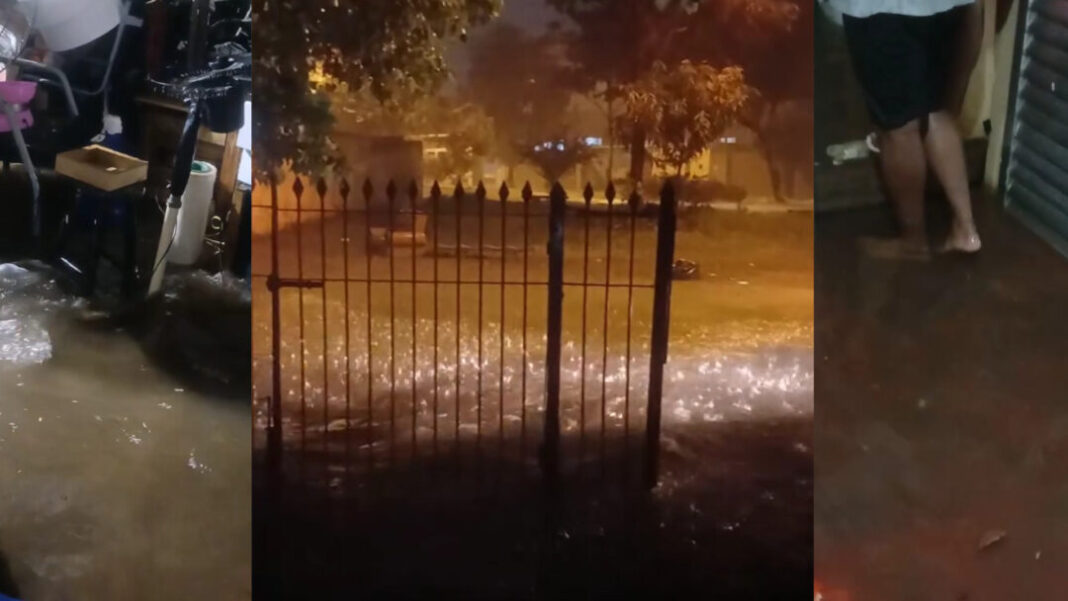 SITE - FOTOS - 2025-12-30T141626.037