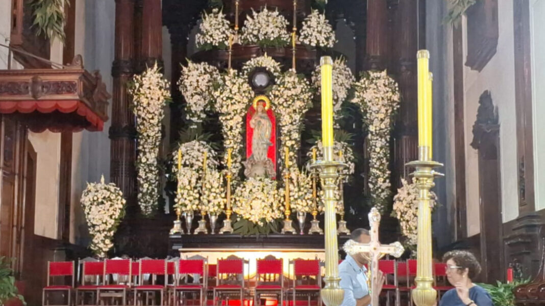 SITE - FOTOS (GP) - 2025-12-08T160810.956