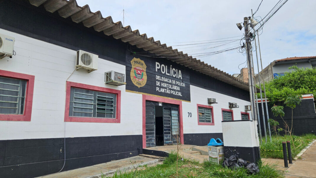 PLANTÃO DELEGACIA POLÍCIA CIVIL HORTOLÂNDIA SITE - FOTOS (2)