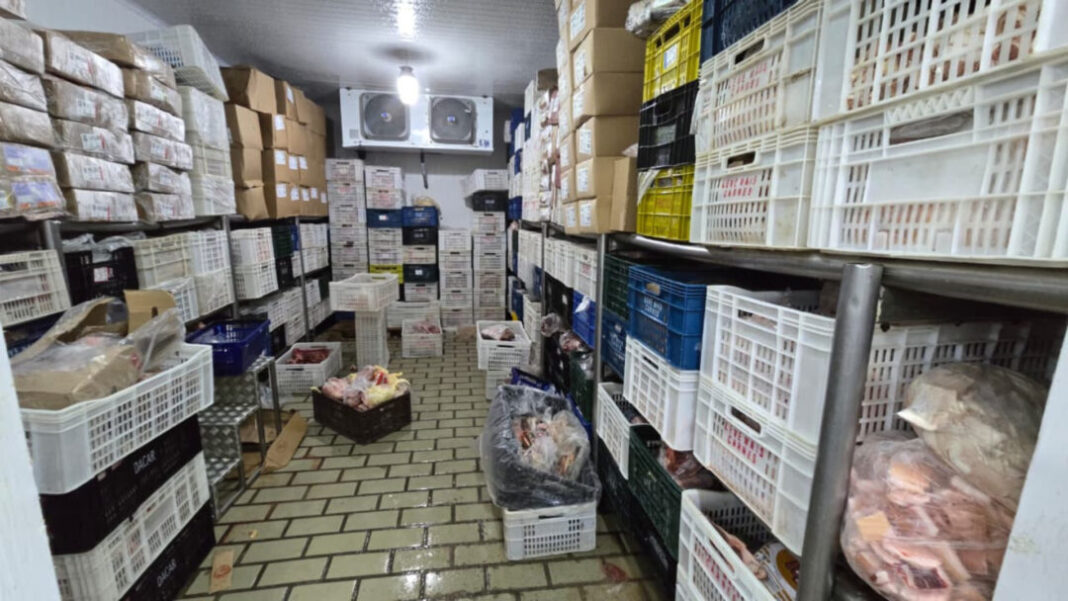 SITE - FOTOS - 2026-01-08T113123.705