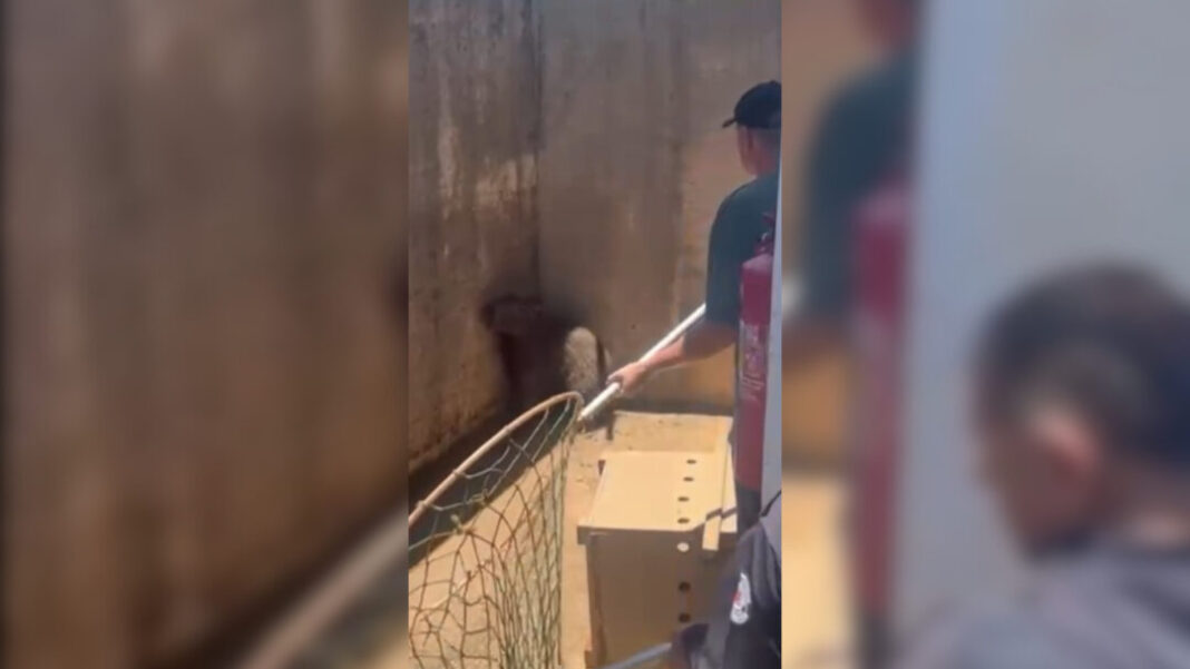 SITE - FOTOS - 2026-01-09T143326.937