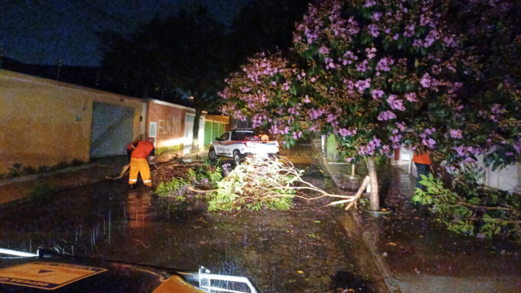 SITE - FOTOS - 2026-01-30T113311.677