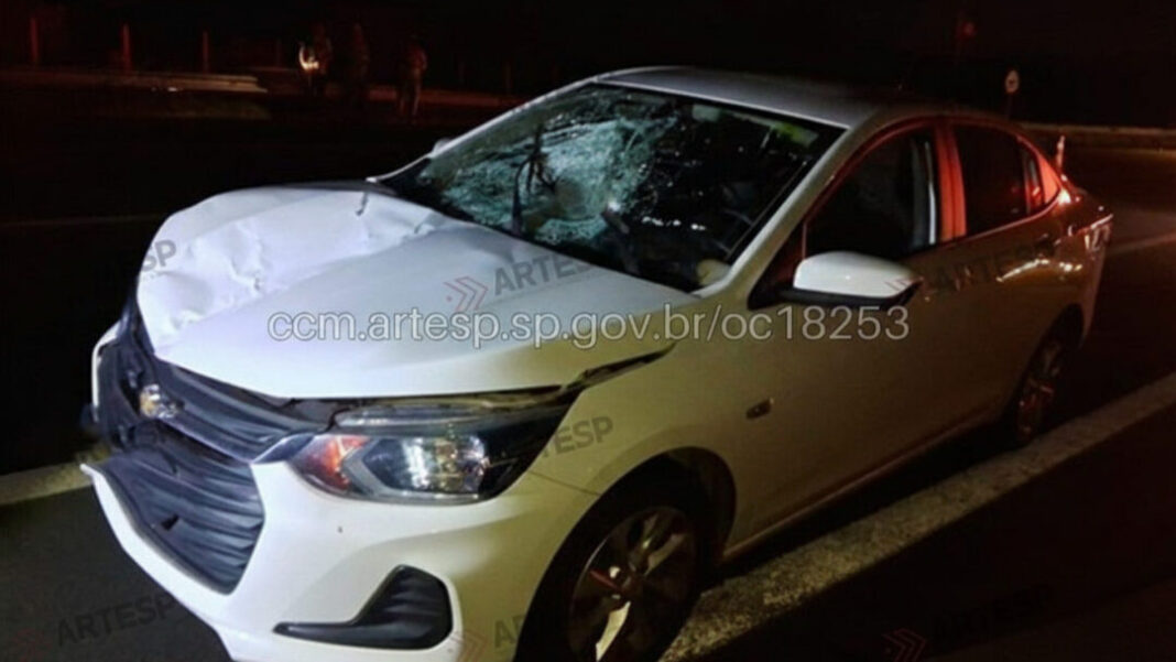 SITE - FOTOS (GP) (17)