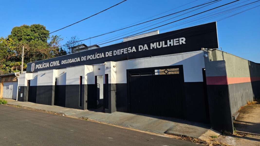 DDM DELEGACIA DA MULHER HORTOLÂNDIA 2025