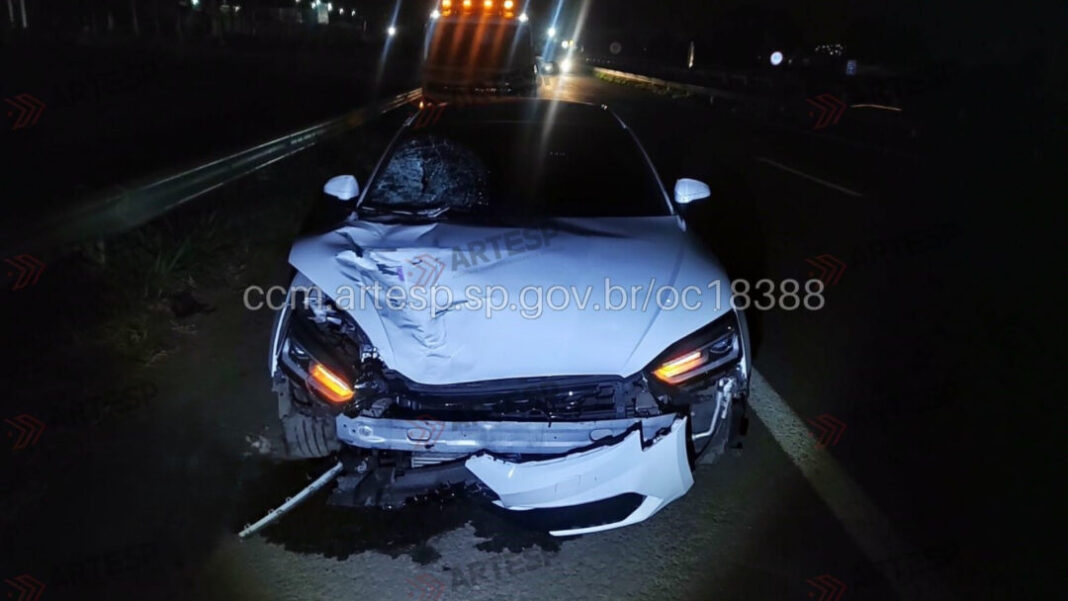 SITE - FOTOS (GP) (43)