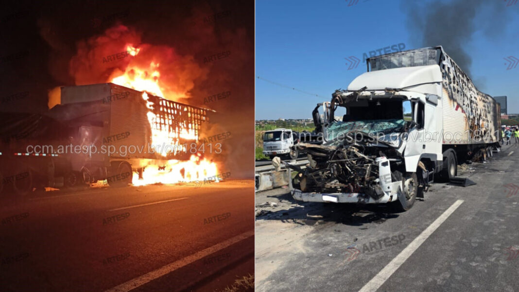 SITE - FOTOS (GP) (51)