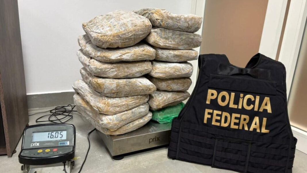 SITE - FOTOS (GP) (85)