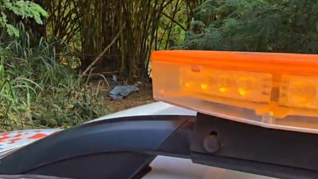 SITE - FOTOS (GP)_20260413_105751_0000