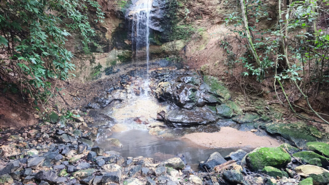 SITE - FOTOS (6)