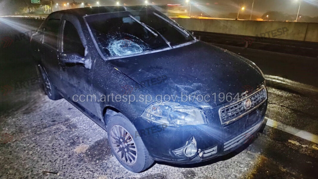 MULHER MORRE ATROPELADA SP-101 HORTOLÂNDIA SITE - FOTOS (31)