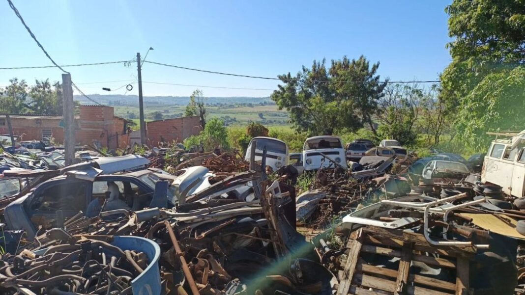 SITE - FOTOS (2)