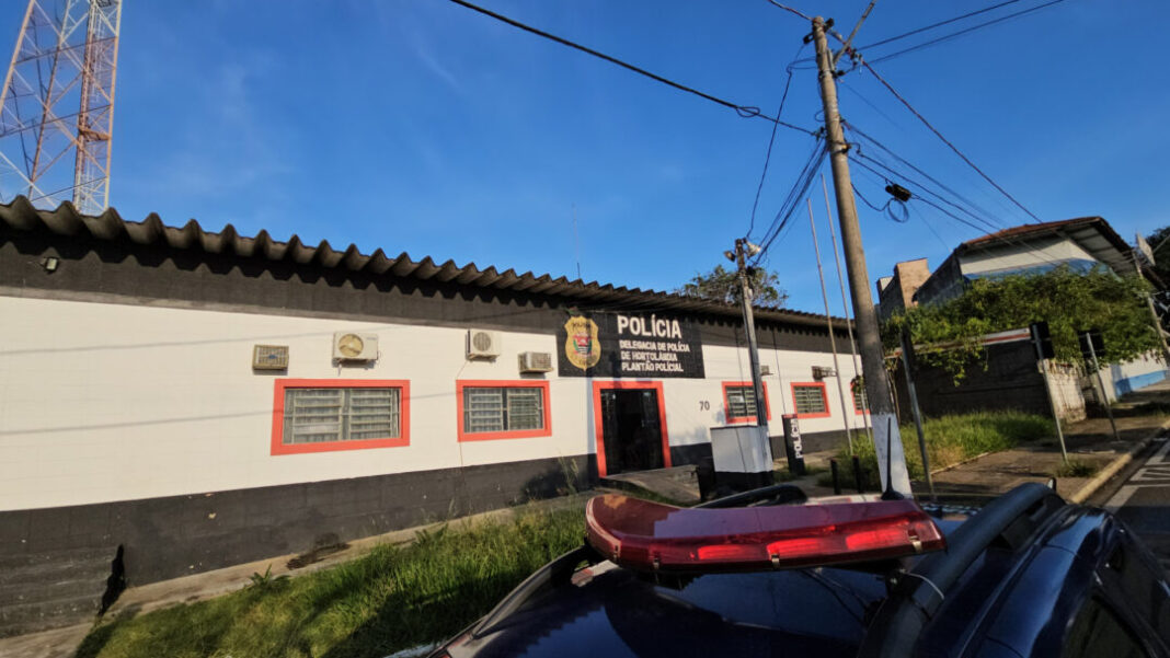 PLANTÃO POLÍCIA CIVIL HORTOLÂNDIA SITE - FOTOS (2)