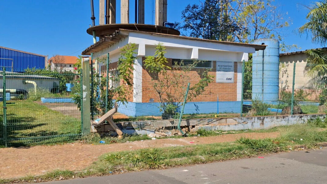 SITE - FOTOS (1)