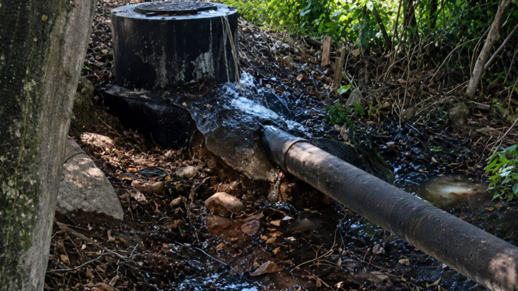 SITE - FOTOS (1)