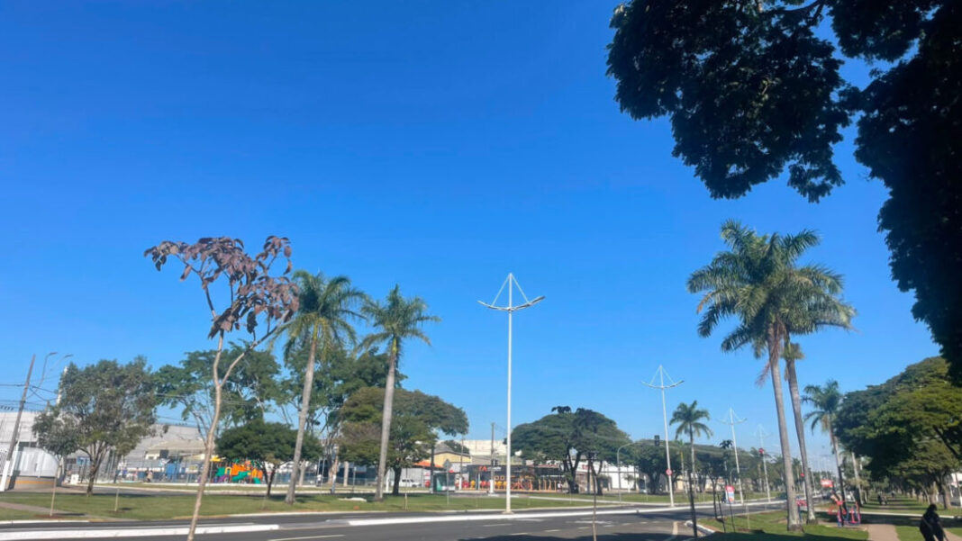 SITE - FOTOS (89)