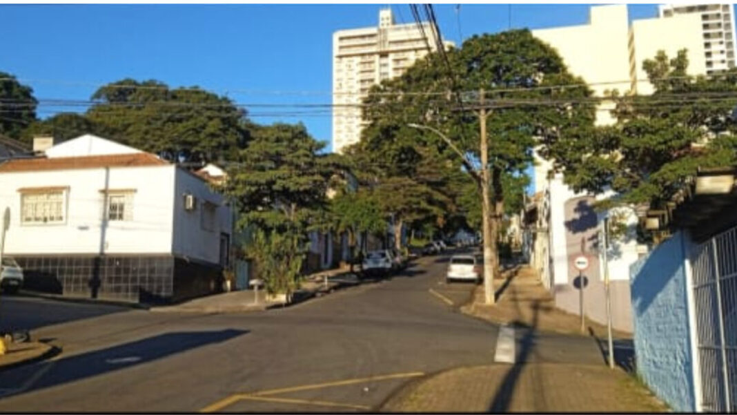 SITE - FOTOS - ARBORIZAÇÃO