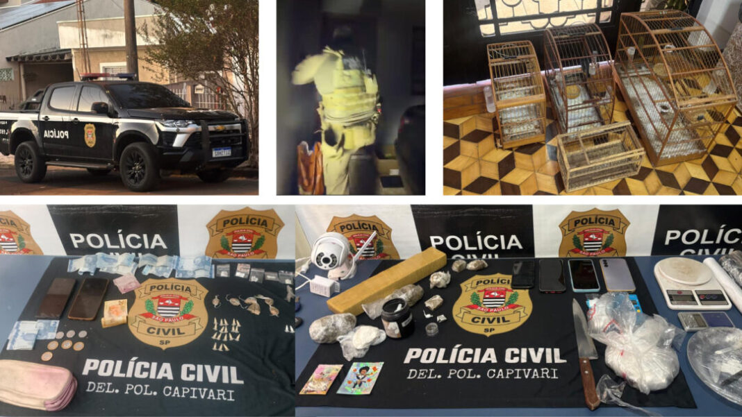 SITE - FOTOS - TRÁFICO CAPIVARI