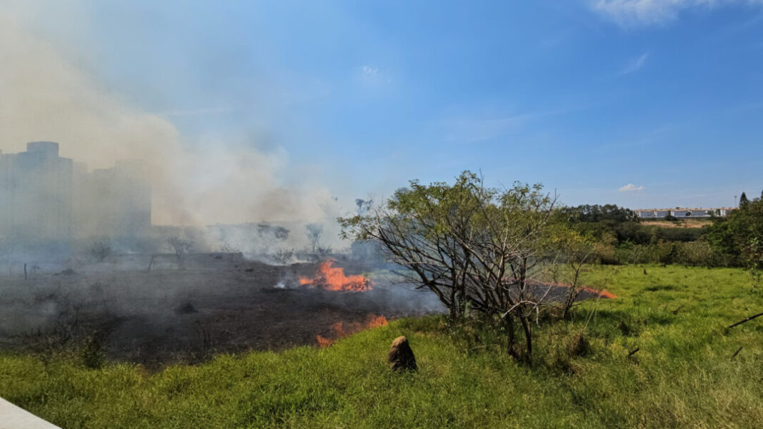 ÁREA QUEIMADA SUMARÉ SITE - FOTOS (4)