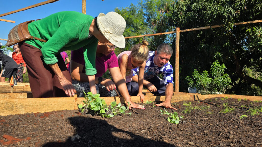 IDOSOS PLANTAM MUDAS EM HORTA COMUNITÁRIA DO PROJETO ÁGUIA SITE - FOTOS (2)