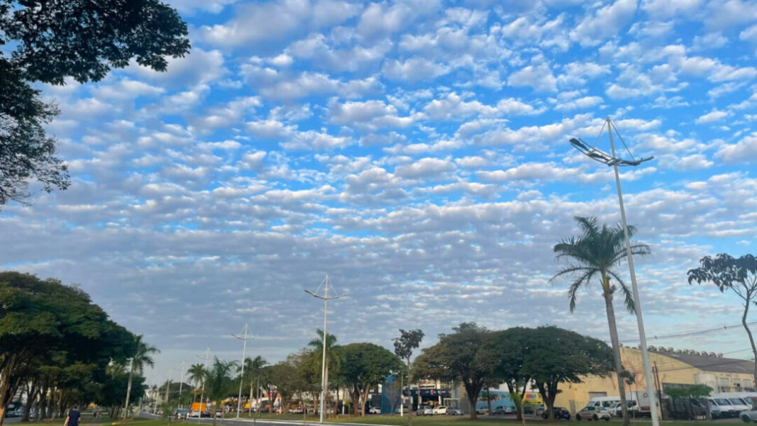 SITE - FOTOS (15)