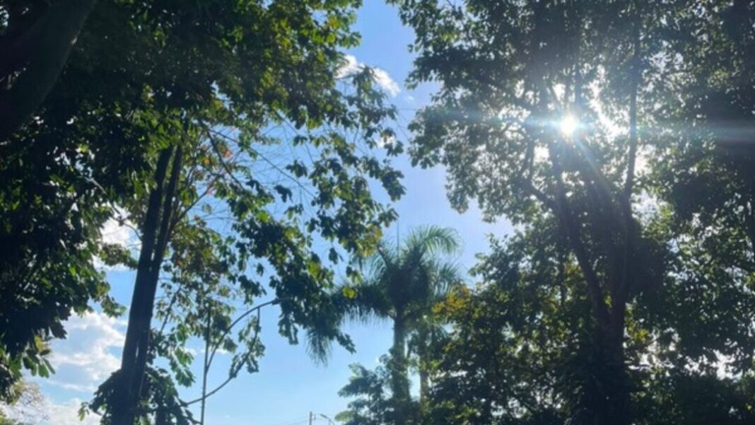 SITE - FOTOS (17)