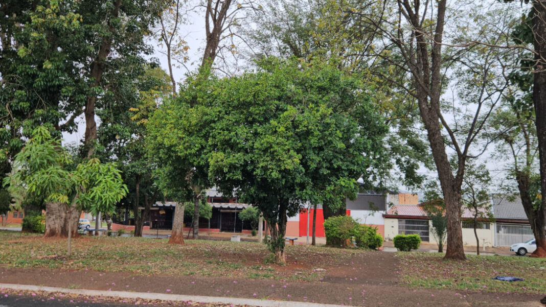 SUMARÉ ERRADICA MURTAS X GREENING 2026 SITE - FOTOS (2)