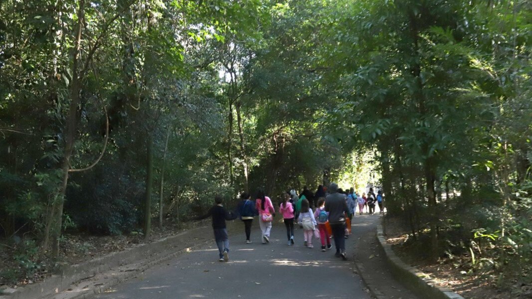 Bosque_dos_Jequitib_s_1920x1080