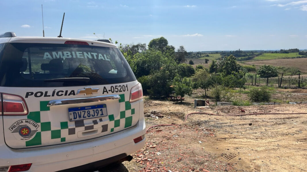 PM AMBIENTAL DIA DA ÁRVORE CASO 3 DANO APP MONTE MOR SITE - FOTOS (4)