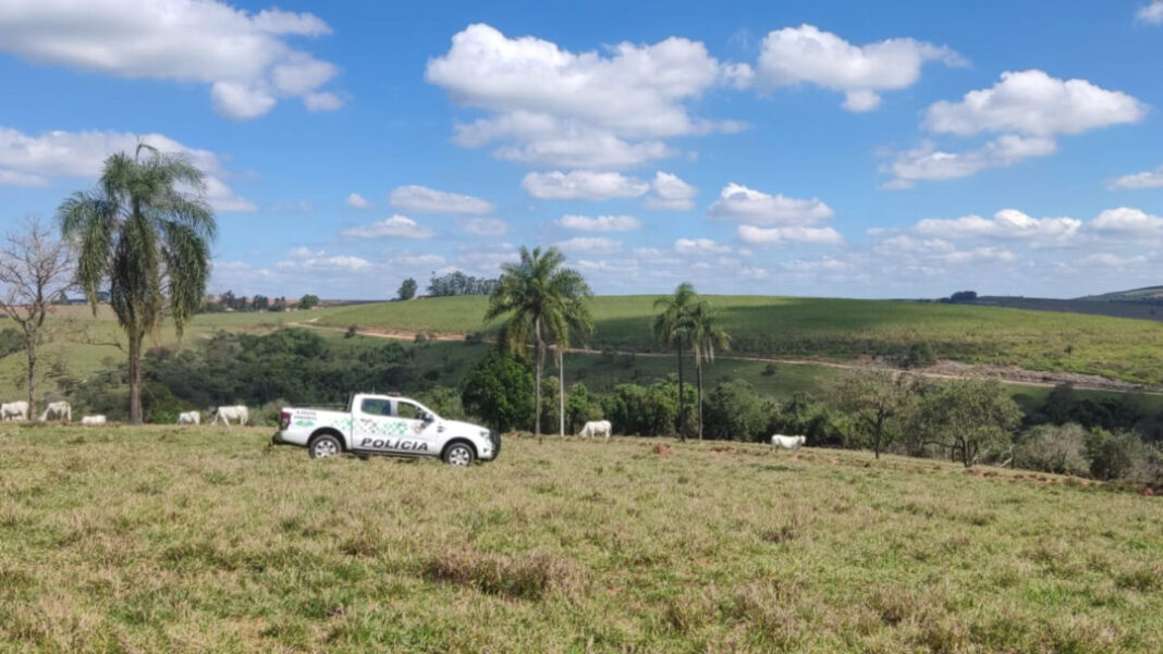 SITE - FOTOS (1)