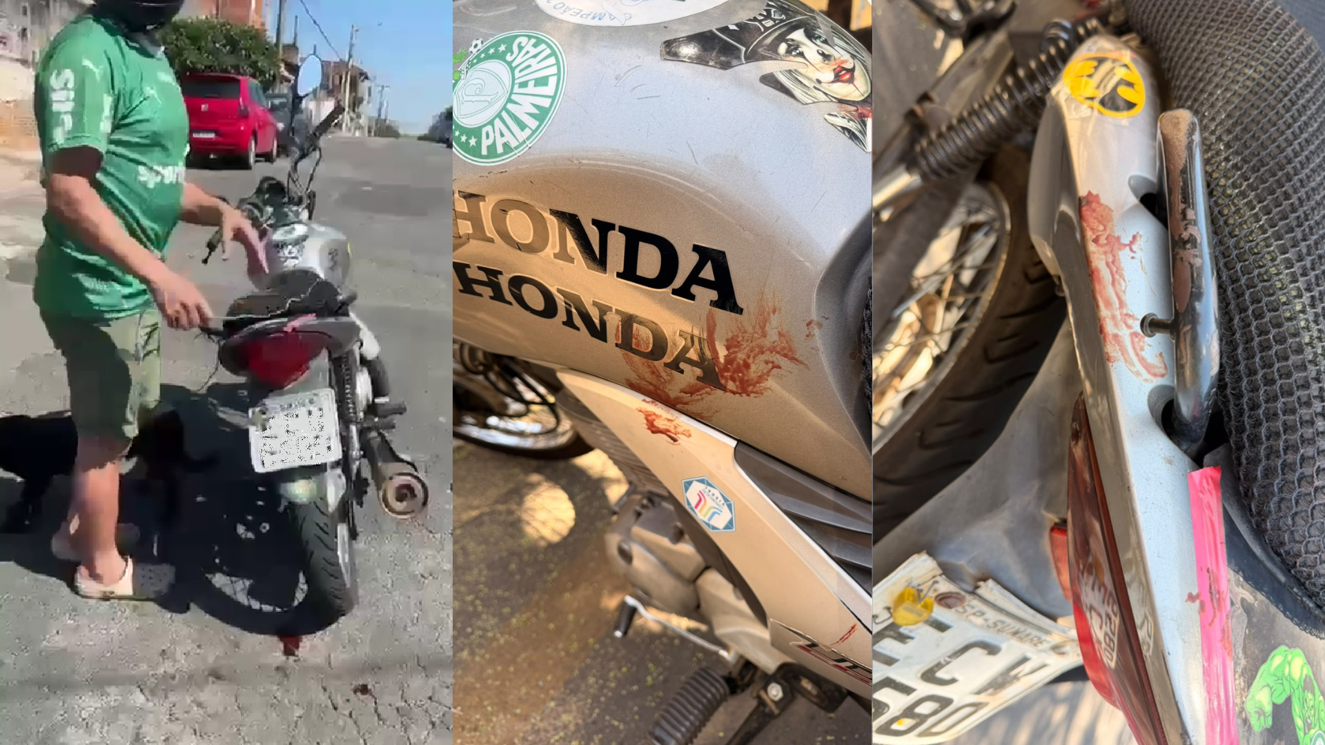 Sangue do animal no tanque da moto